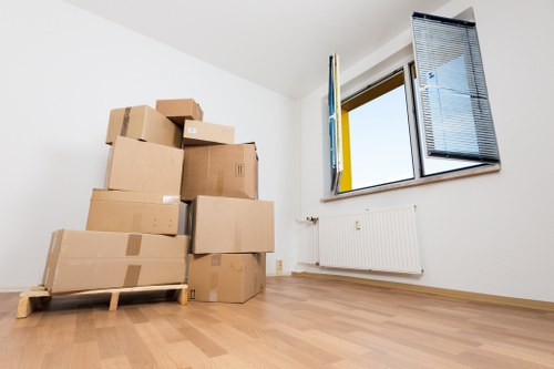 Careful wrapping of fragile household items for moving